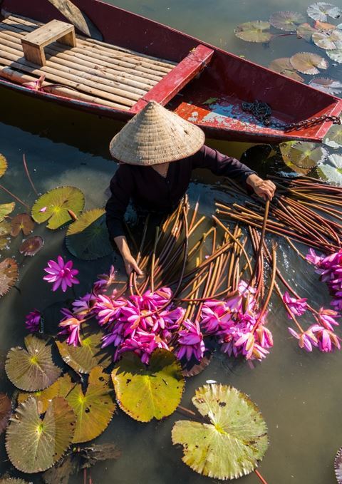 VIETNAM