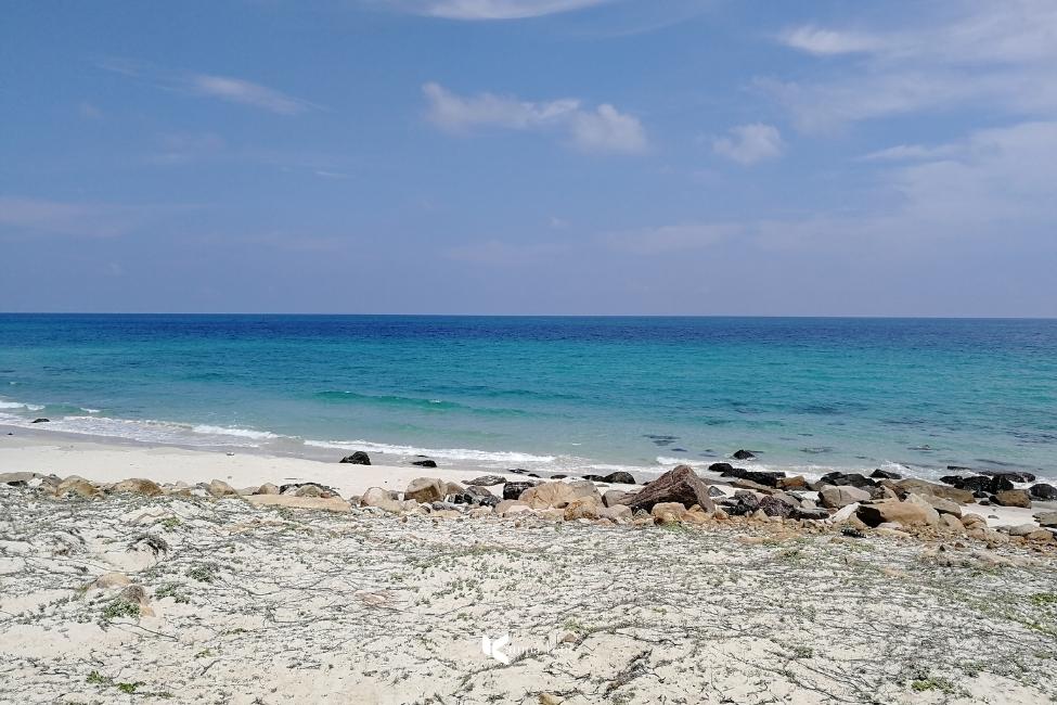 Top 7 Largest National Parks in Vietnam from North to South