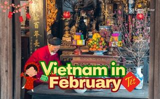 Vietnam in February 2026: The Most Exciting Gamble of the Year