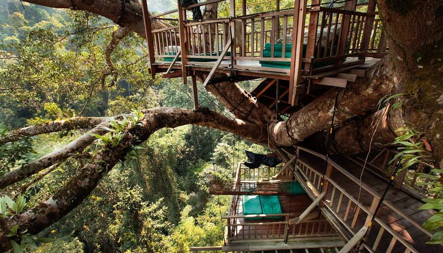 Gibbon Experience – Sleep in Treehouses & Zipline Like Tarzan!