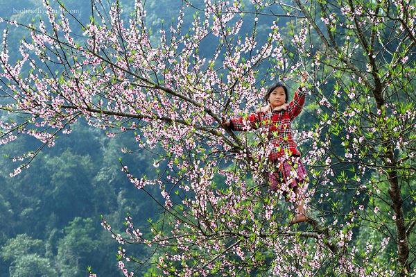 Sapa in March: What to Expect from Weather and Scenery