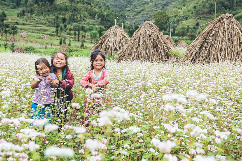 Vietnam in January: Weather & 11 Best Places to Go!