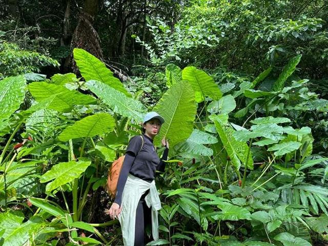 How to explore Cat Ba National Park like a true local (2026)