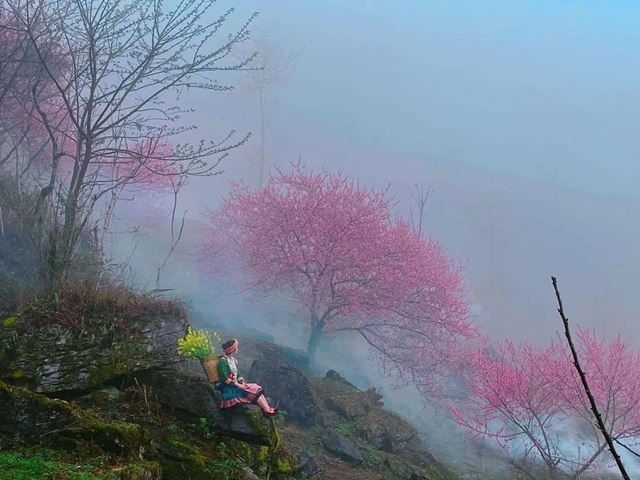Sapa in November: The Complete Guide to the Cool Season