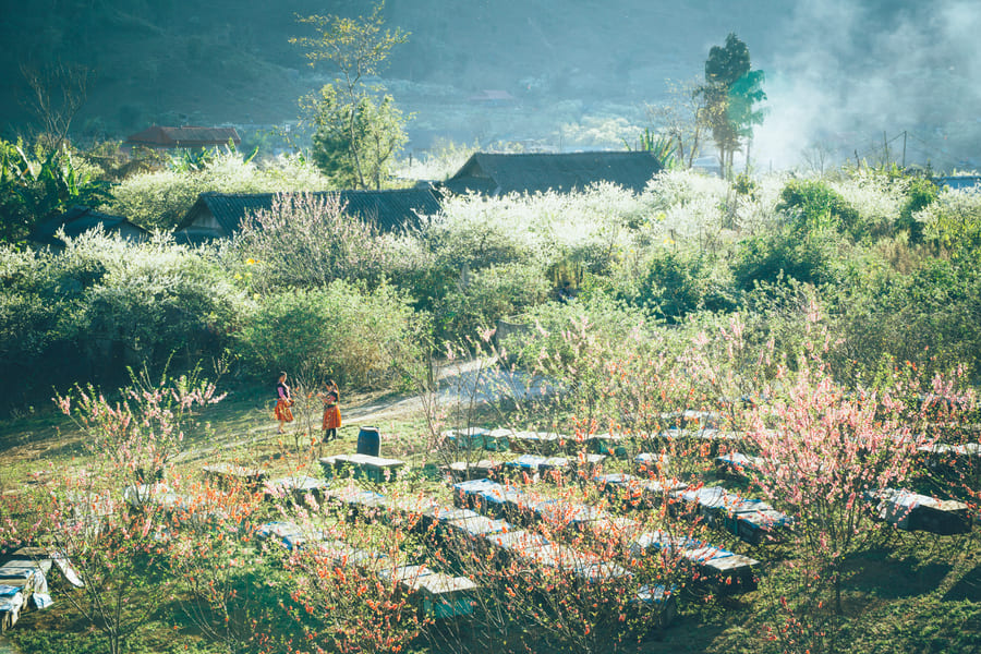 Sapa Weather in February: How Cold Does It Really Get?
