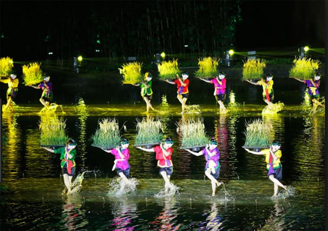 Is The Quintessence of Tonkin worth it? A detailed review