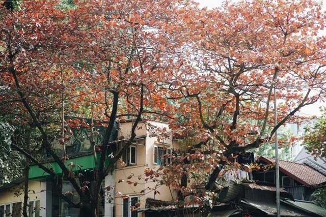Hanoi in November: Weather, What To Do & Practical Travel Tips