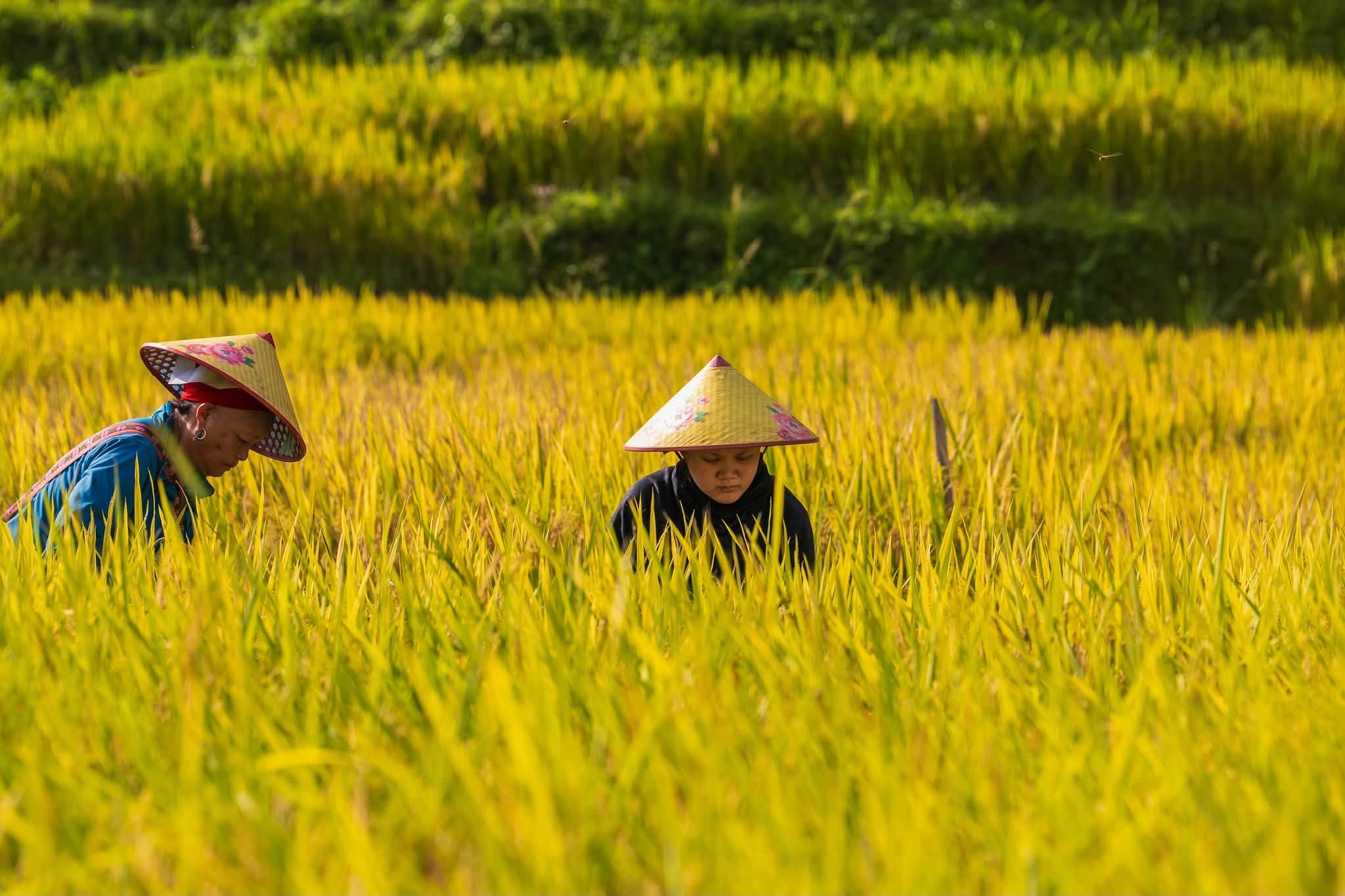 Hanoi to Cao Bang: Bus, Car or Motorbike? Compare Every Travel Option