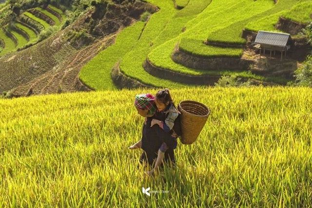 Vietnam in August: Weather and Best Places to Visit for 2026