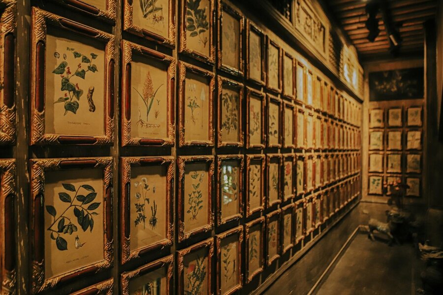 FITO Museum: Vietnamese Traditional Medicine Heritage