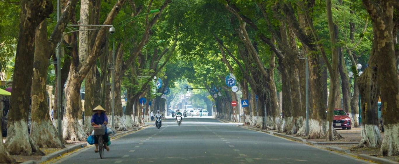 Vietnam in November: Weather, Practical Tips, and Top Attractions