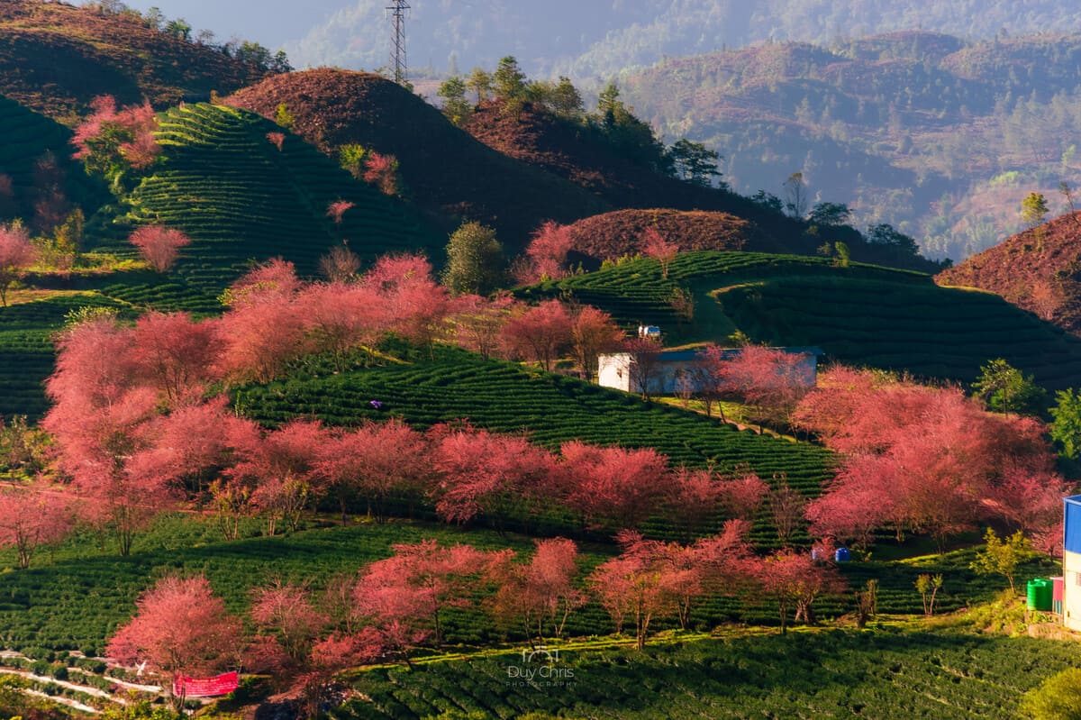 What to do in Sapa for first-time visitors (by a local guide)
