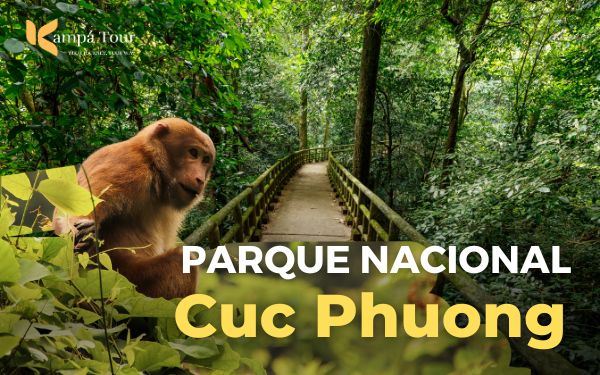 Parque nacional Cuc Phuong: ¿Un lugar poco conocido de Ninh Binh?