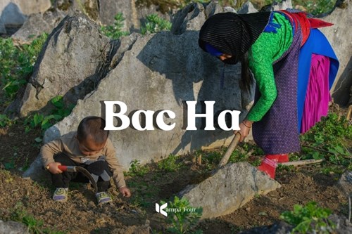 Bac Ha 101: 7 Highlights of Vietnams Northwest Ethnic Land
