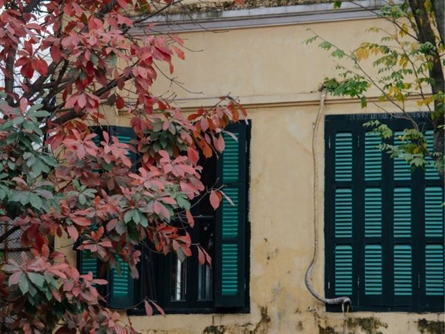 Hanoi Weather in February: Cold, Drizzly or Pleasant?