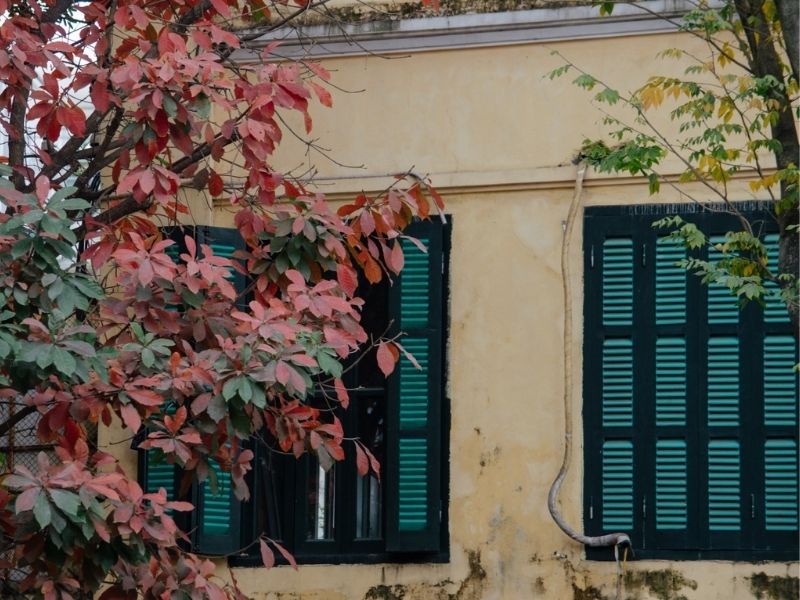 Hanoi Weather in February: Cold, Drizzly or Pleasant?