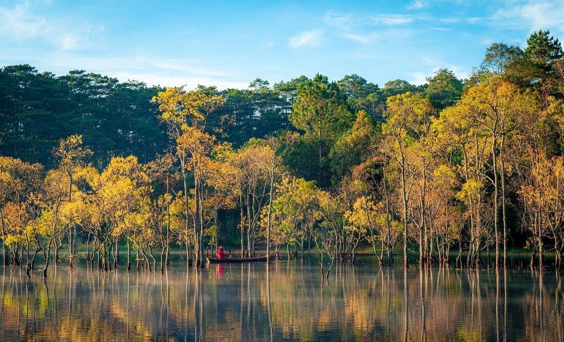 Suoi Tia – A Golden Autumn in the Highlands of Da Lat