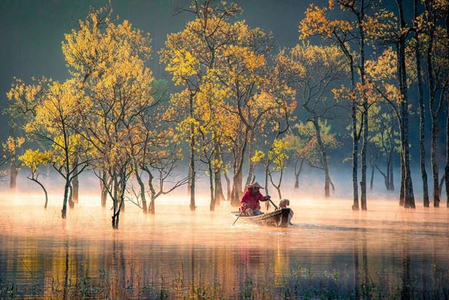 Suoi Tia – Un otoño dorado en las tierras altas de Da Lat