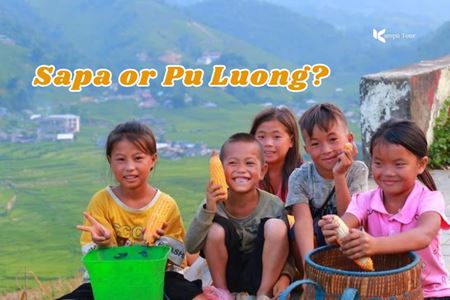Sapa or Pu Luong: Which highland retreat is right for you?