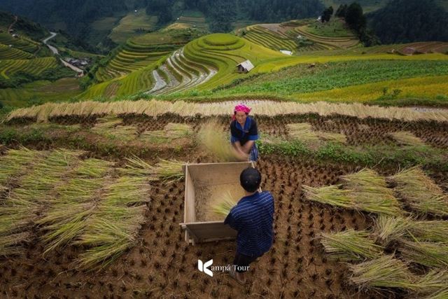 9 Best Places to See Vietnam’s Rice Terraces (with Best Travel Times)