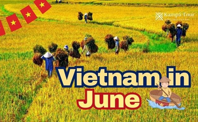 Vietnam in June: What You Need to Know and Where to Go?