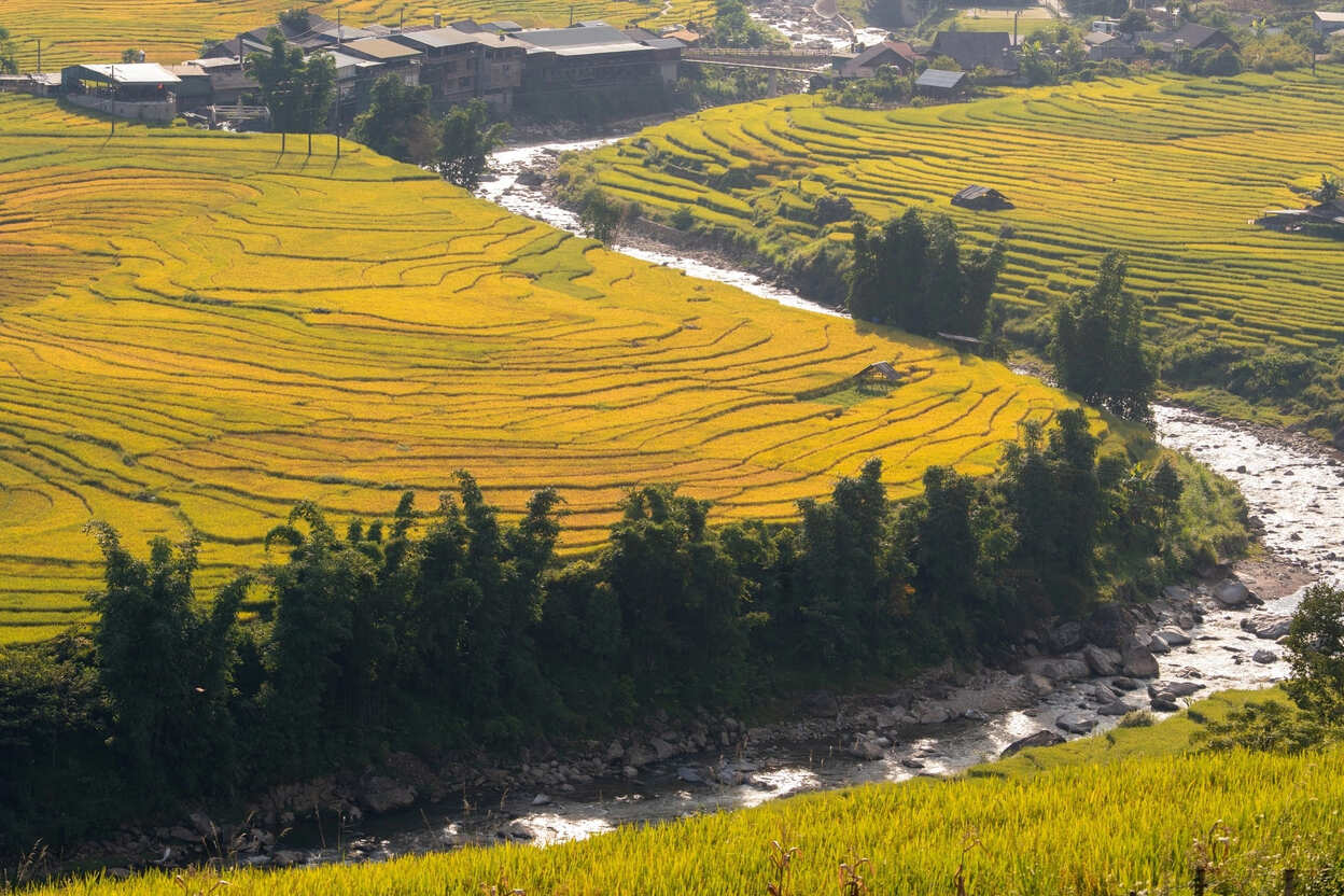 Ta Van Village: Is It Worth Adding to Your Sapa Itinerary?