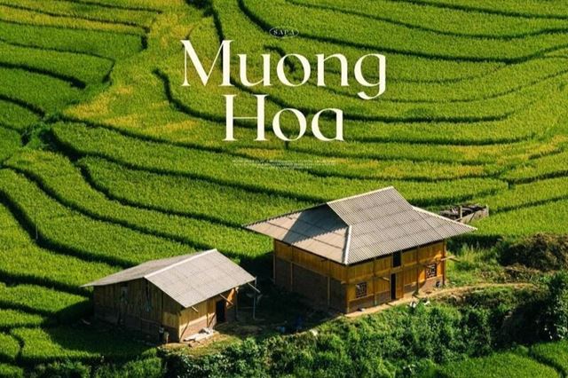 Muong Hoa Valley with a Sapa local: What to see & Where to go