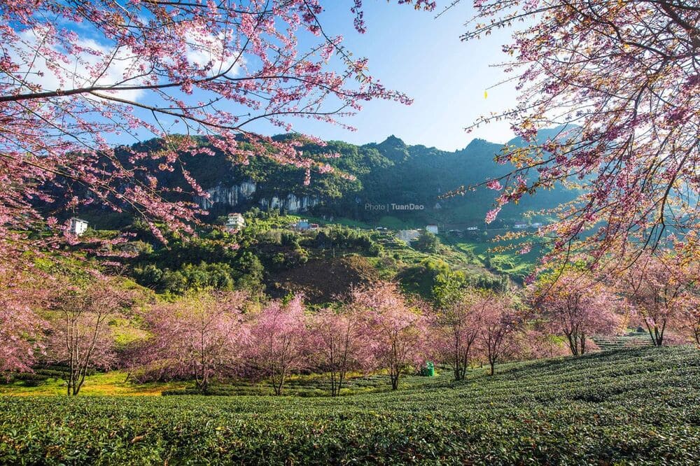 Sapa Weather in April: What to Expect for Your Spring Trip