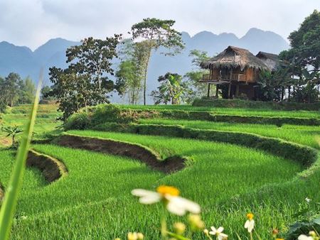 Mi ruta por Pu Luong, Vietnam, en la temporada de arroz