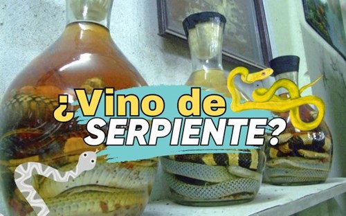 Vino de serpiente: La bebida más antigua y atrevida de Asia
