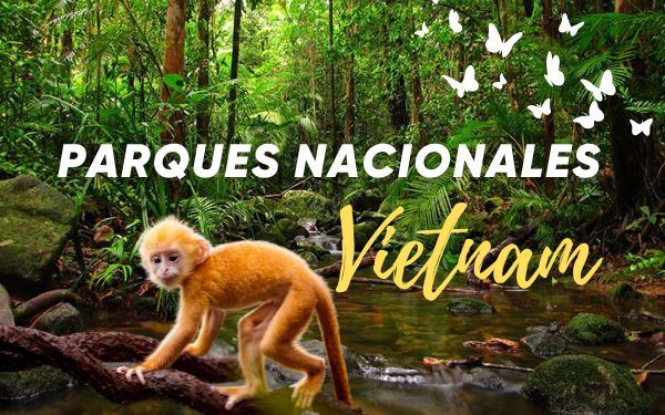 Los 7 parques nacionales más grandes de Vietnam