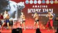 Top 10 Must-see Festivals and Events in Thailand in September