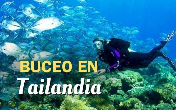 Buceo en Tailandia: ¡10 paraísos submarinos para añadir a tu lista!