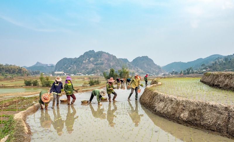 clima en sapa