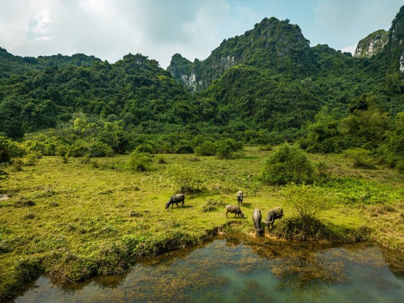 que ver en tam coc