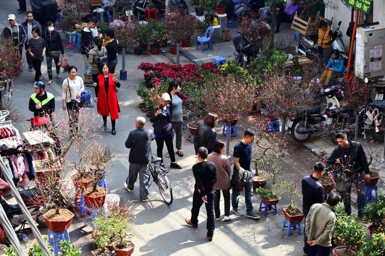 vietnamese preparing for tet
