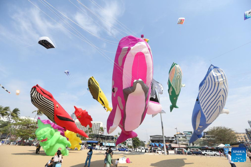 Festival Internacional de Cometas