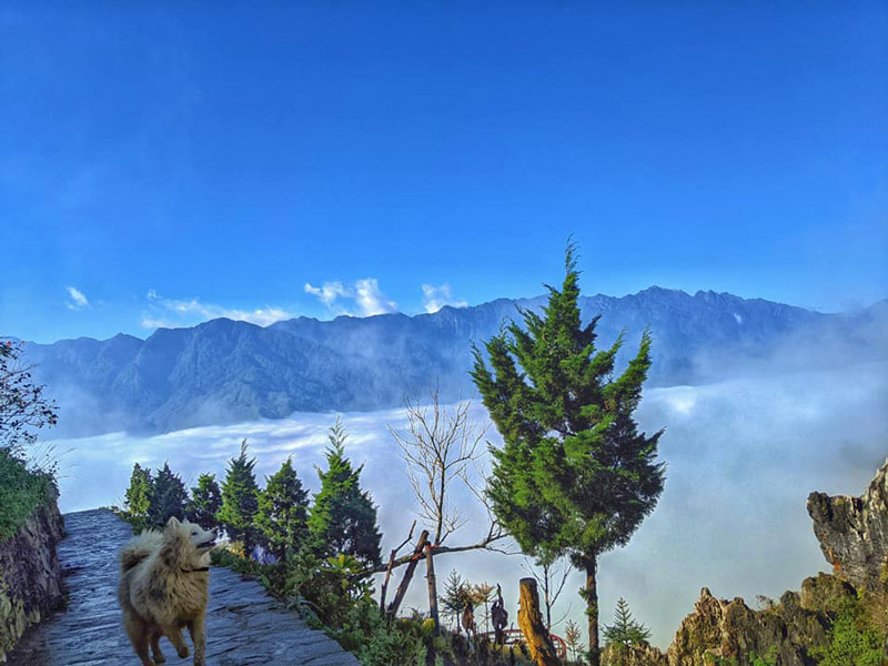 the beautiful terraces of hau thao village in december