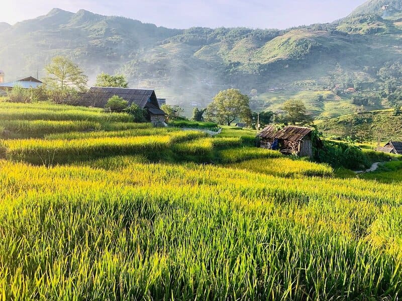 paisaje de lao chai por la mañana