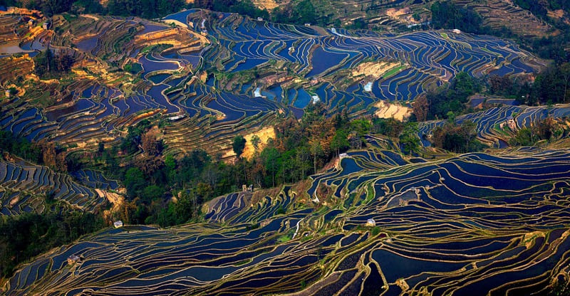 Terraced fields, north vietnam, water pouring season