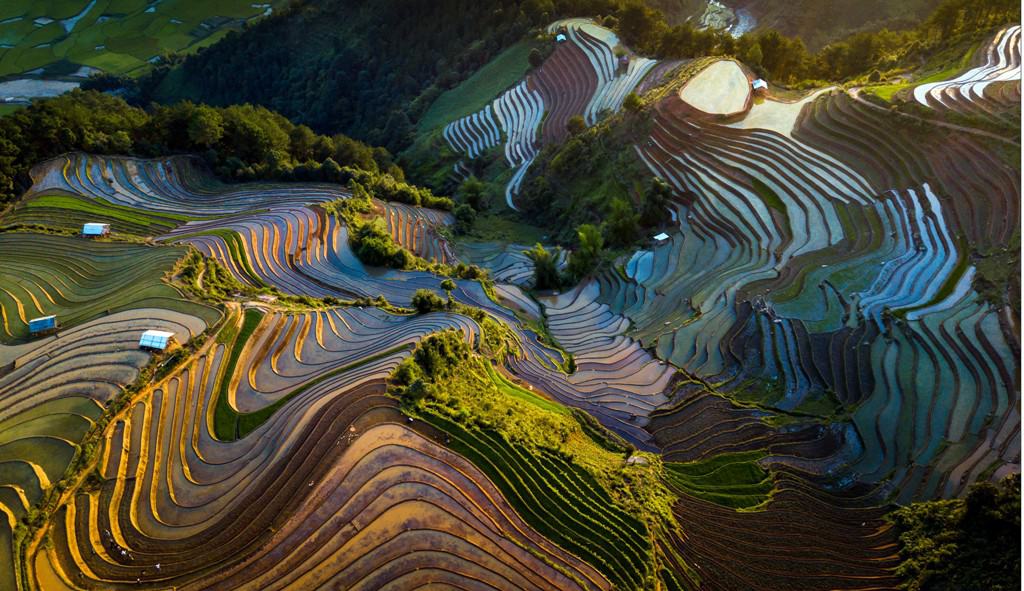 Terraced fields, north vietnam, water pouring season