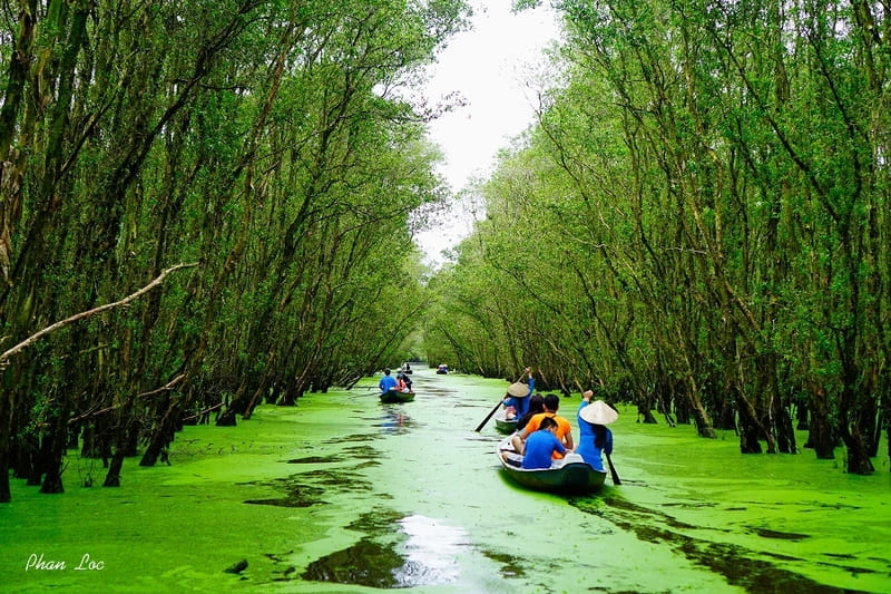 tra su en an giang