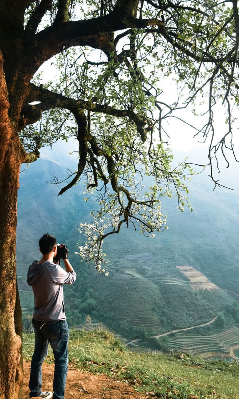 A tourist takes pictures of hawthorn flowers