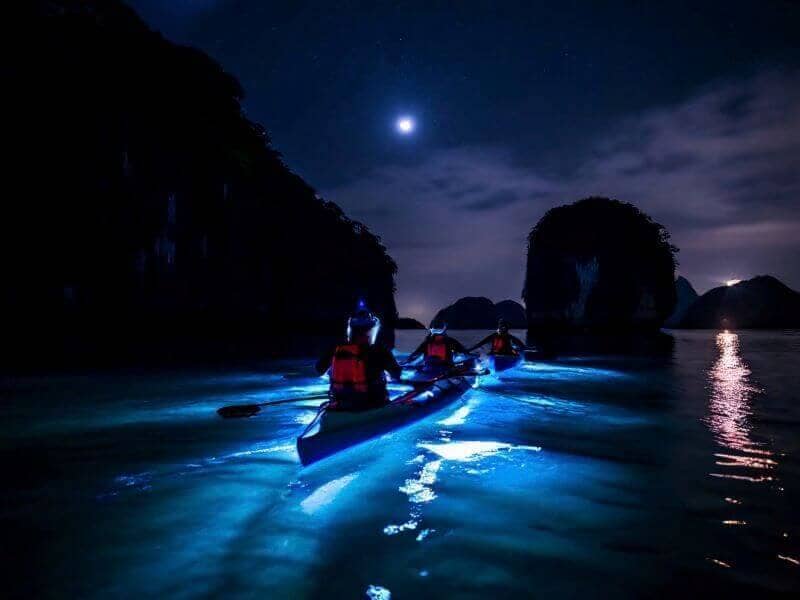 kayak to see plankton in lan ha bay, at night