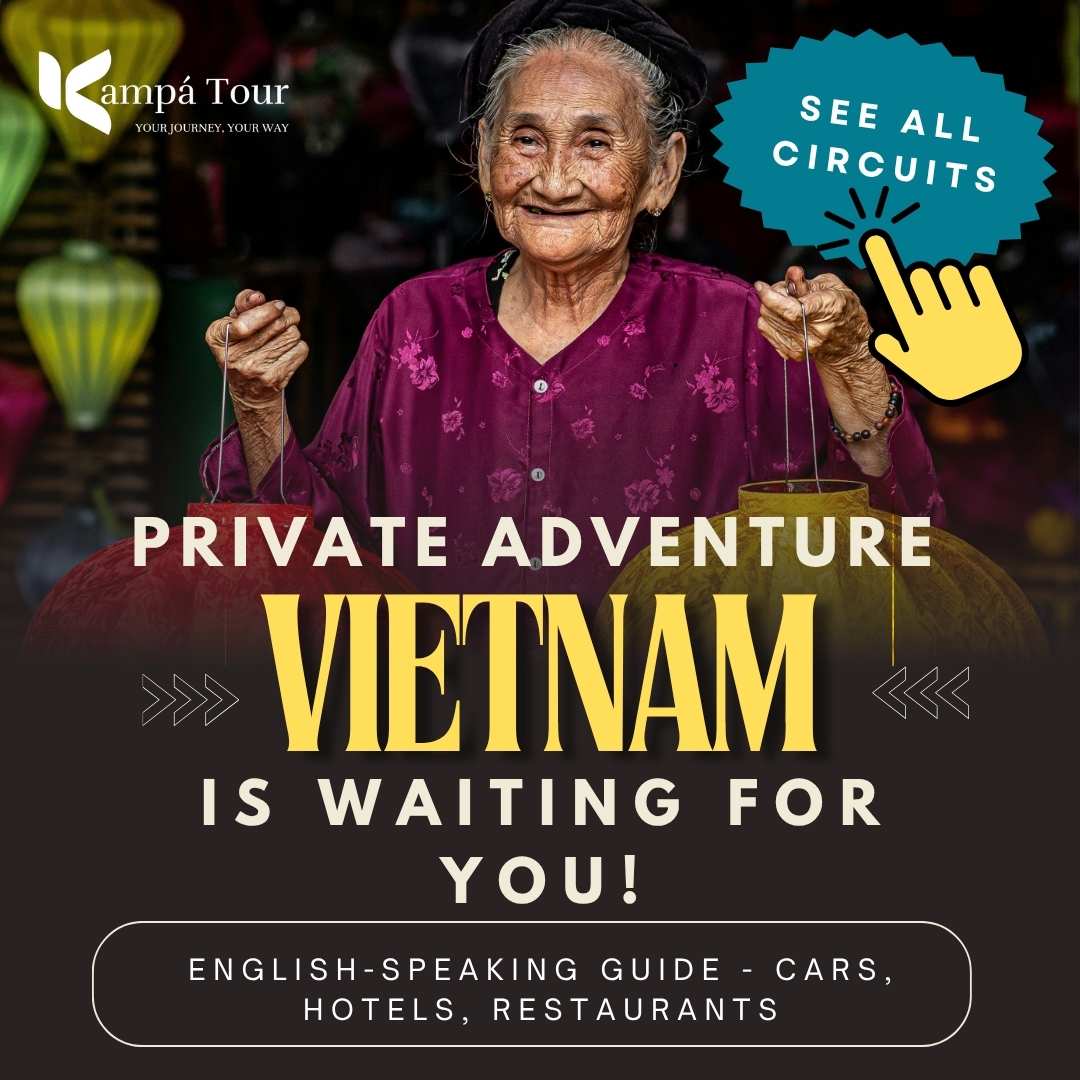 vietnam tours