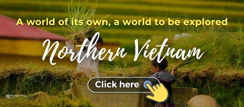 Vietnam tours