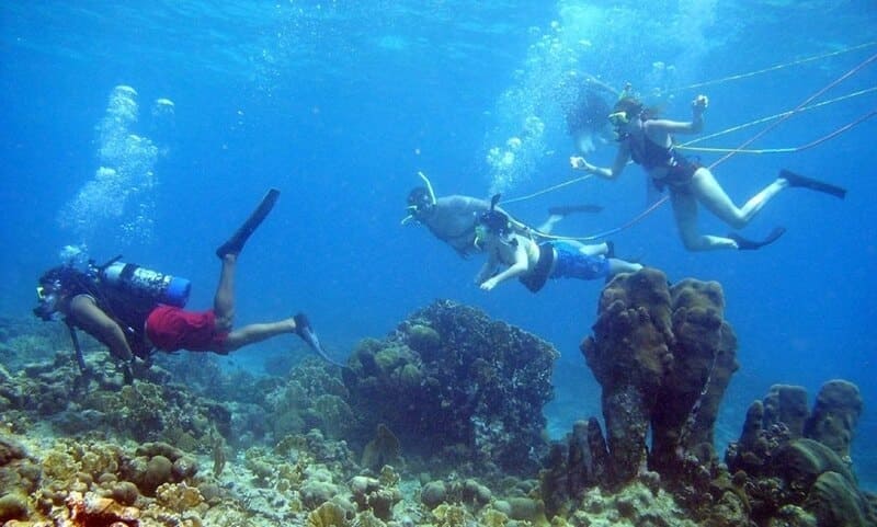 Diving in Koh Rong