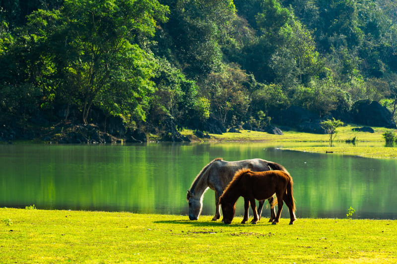 Lang Son Geopark, UNESCO