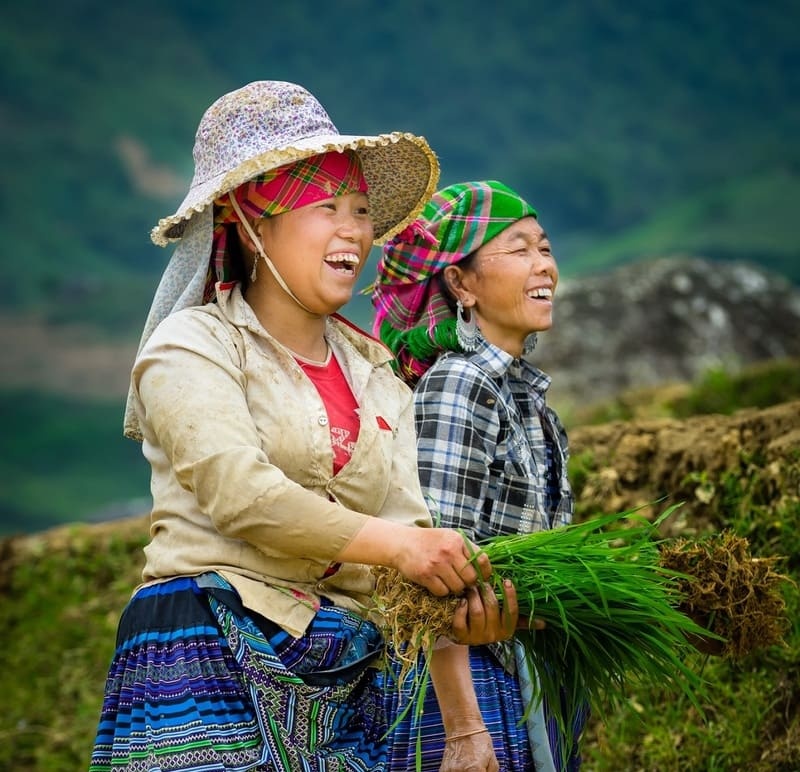 Terraced fields, north vietnam, water pouring season