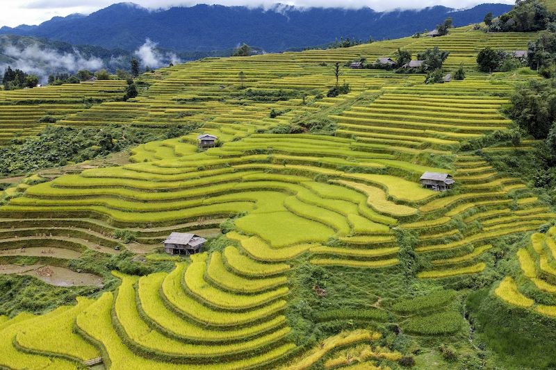 Que ver en Vietnam en septiembre